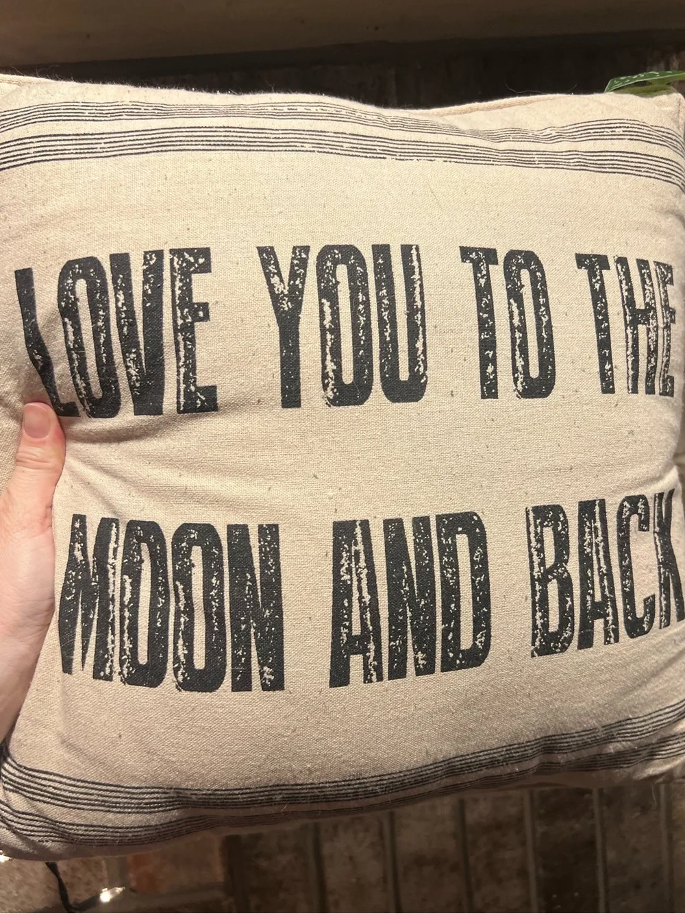 Love you To The Moon and Back  Decorative Throw Pillow